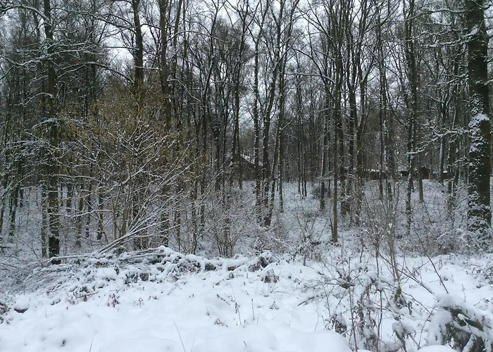 Boshuisje