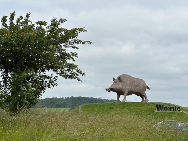Boshuisje Vakantiehuis